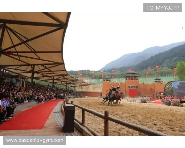 风云体育中文站的赛事直播互动功能，增强观众参与感和现场氛围